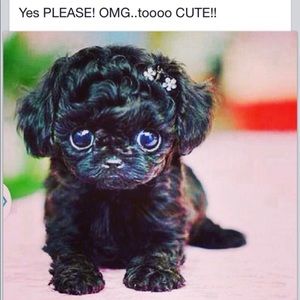 Meet your Posher, Denise